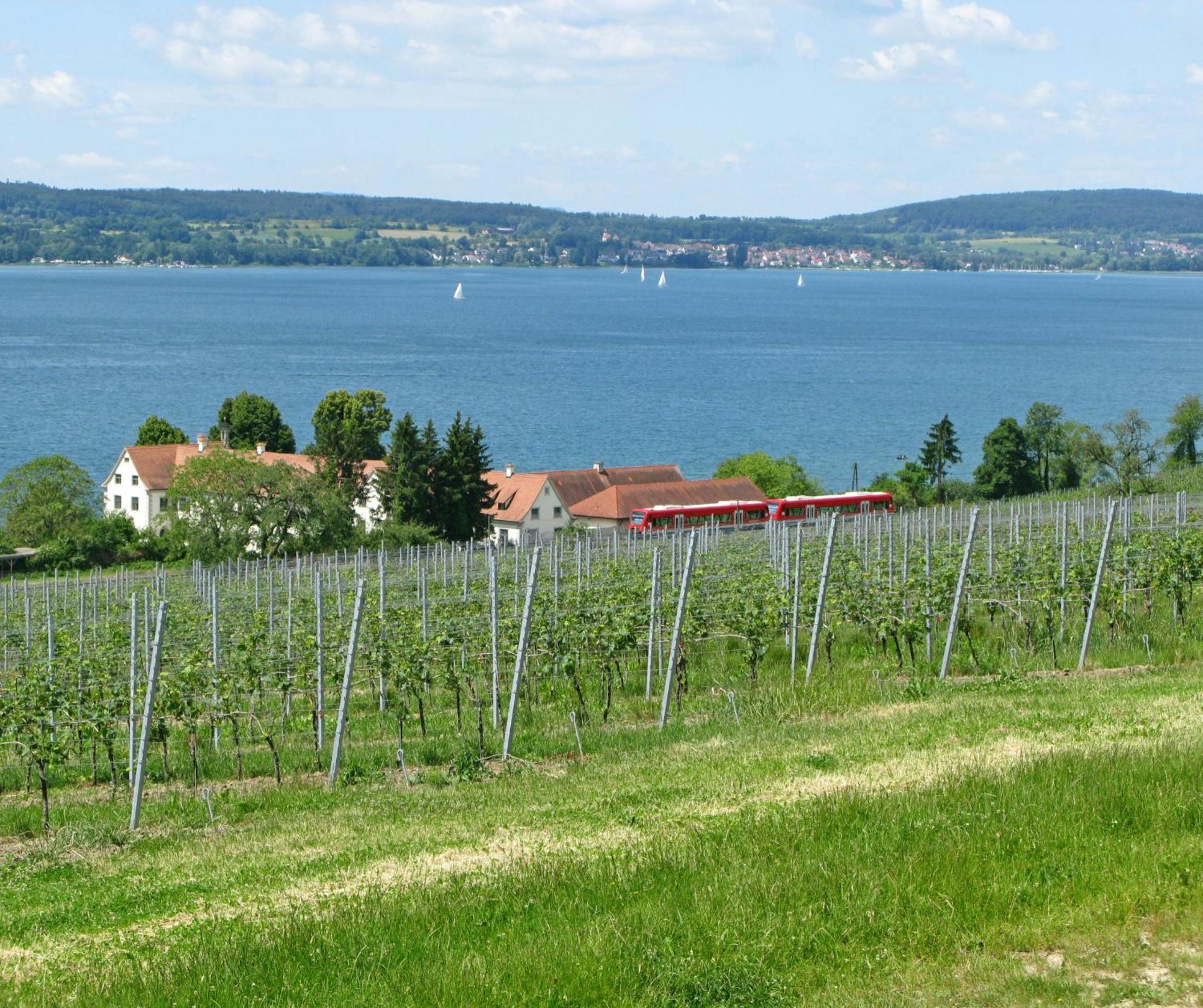 Ferienwohnung Ueberlinger Ferienidylle Uberlingen Exterior foto